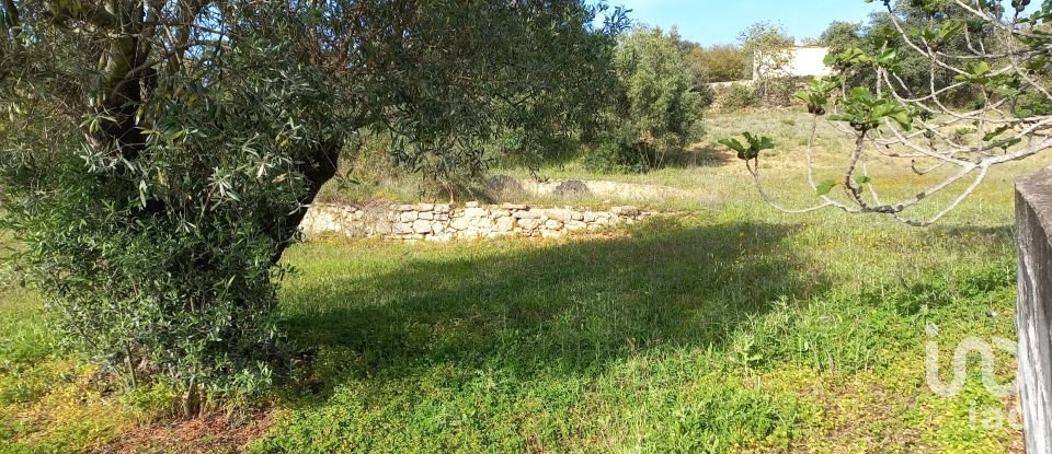 Terrain à Santa Bárbara de Nexe de 6 160 m²