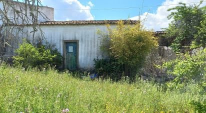 House T4 in Santa Bárbara de Nexe of 172 m²