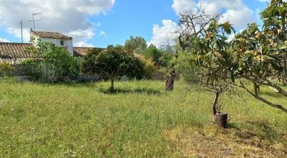 House T4 in Santa Bárbara de Nexe of 172 m²