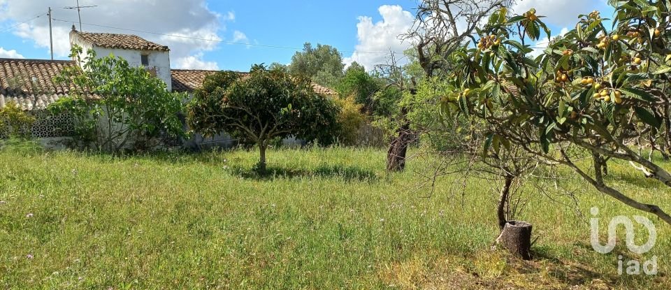 House T4 in Santa Bárbara de Nexe of 172 m²