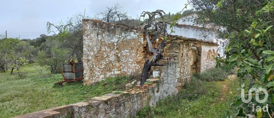 House T4 in Santa Bárbara de Nexe of 172 m²