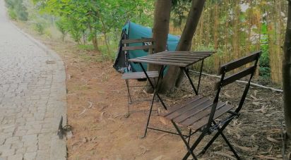 Maison de village T2 à Sousela de 6 500 m²