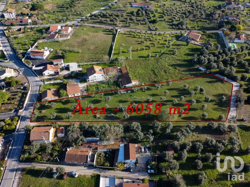 Terrain à Tomar (São João Baptista) e Santa Maria dos Olivais de 6 000 m²