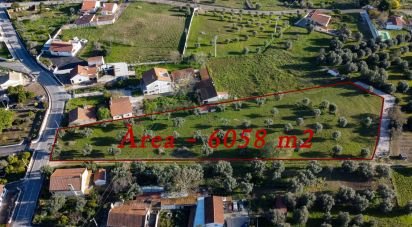 Land in Tomar (São João Baptista) e Santa Maria dos Olivais of 6,000 m²
