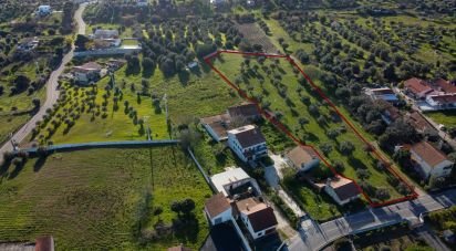 Land in Tomar (São João Baptista) e Santa Maria dos Olivais of 6,000 m²