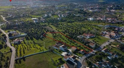 Terrain à Tomar (São João Baptista) e Santa Maria dos Olivais de 6 000 m²