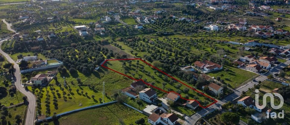 Terrain à Tomar (São João Baptista) e Santa Maria dos Olivais de 6 000 m²