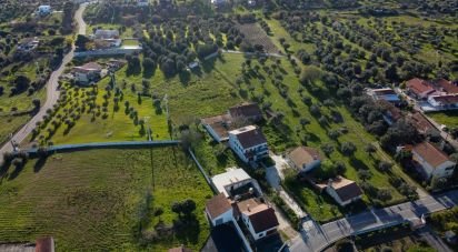 Land in Tomar (São João Baptista) e Santa Maria dos Olivais of 6,000 m²