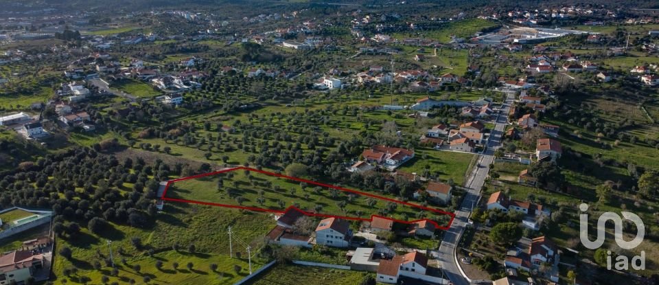 Terrain à Tomar (São João Baptista) e Santa Maria dos Olivais de 6 000 m²