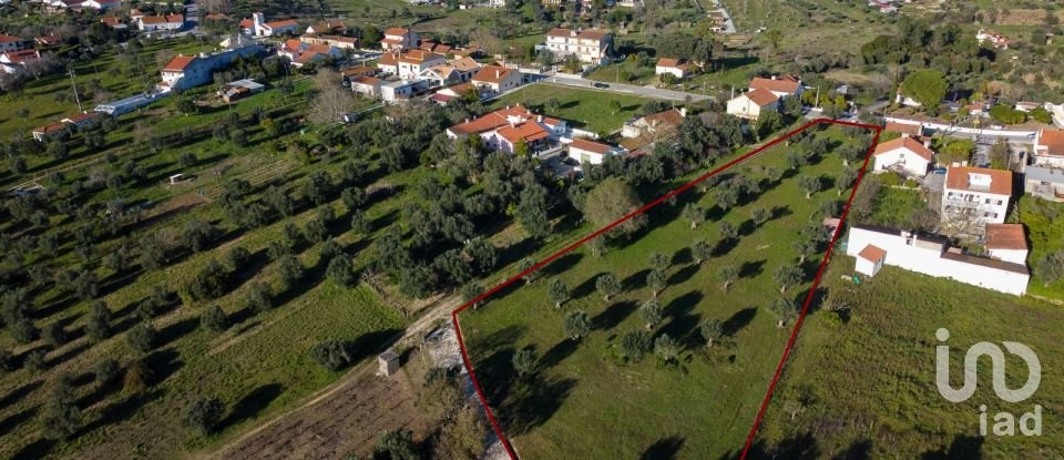 Terrain à Tomar (São João Baptista) e Santa Maria dos Olivais de 6 000 m²