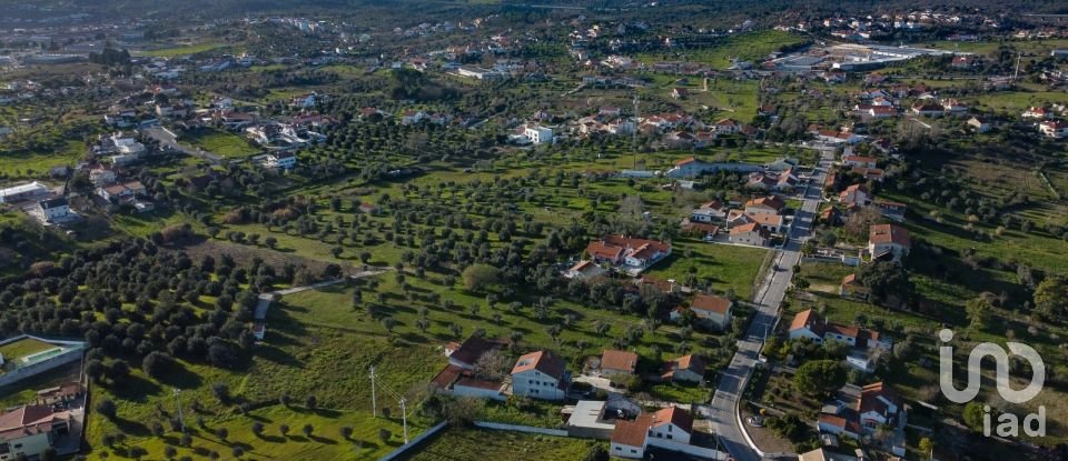 Terrain à Tomar (São João Baptista) e Santa Maria dos Olivais de 6 000 m²