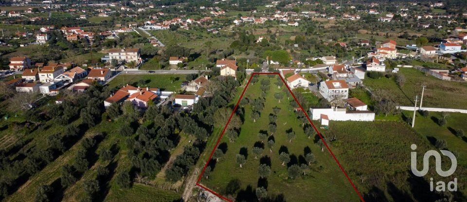 Terrain à Tomar (São João Baptista) e Santa Maria dos Olivais de 6 000 m²