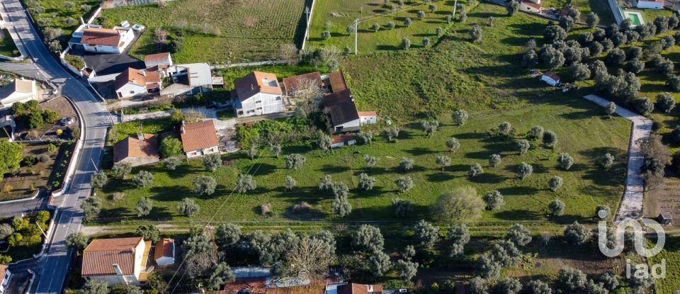 Terrain à Tomar (São João Baptista) e Santa Maria dos Olivais de 6 000 m²