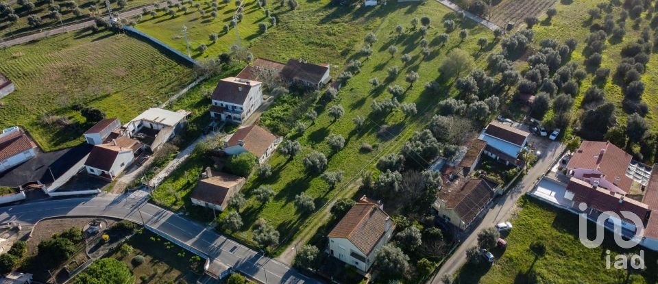 Terrain à Tomar (São João Baptista) e Santa Maria dos Olivais de 6 000 m²