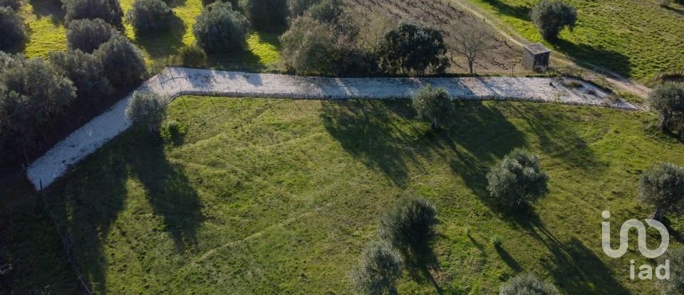 Terrain à Tomar (São João Baptista) e Santa Maria dos Olivais de 6 000 m²