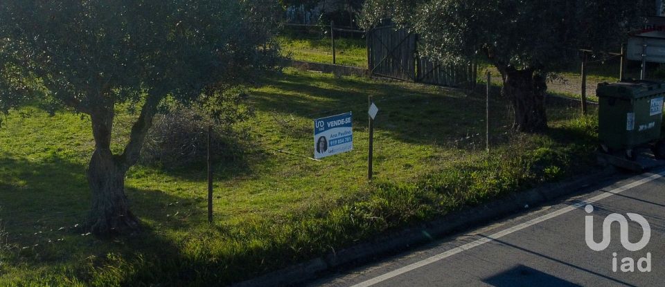 Terrain à Tomar (São João Baptista) e Santa Maria dos Olivais de 6 000 m²