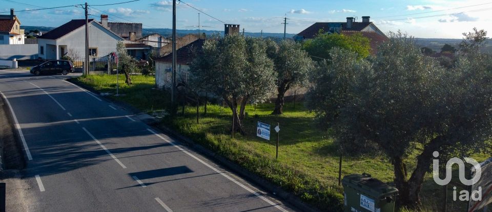 Terrain à Tomar (São João Baptista) e Santa Maria dos Olivais de 6 000 m²
