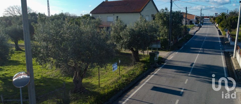 Terrain à Tomar (São João Baptista) e Santa Maria dos Olivais de 6 000 m²