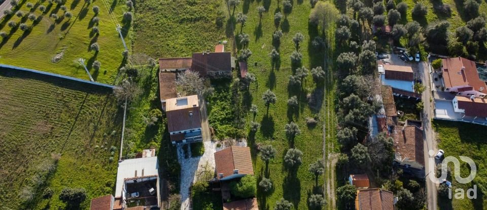 Terrain à Tomar (São João Baptista) e Santa Maria dos Olivais de 6 000 m²