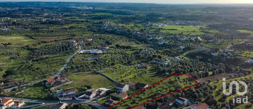 Terrain à Tomar (São João Baptista) e Santa Maria dos Olivais de 6 000 m²