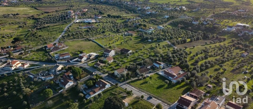 Terrain à Tomar (São João Baptista) e Santa Maria dos Olivais de 6 000 m²