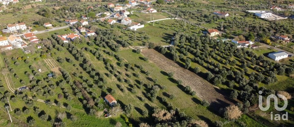Terrain à Tomar (São João Baptista) e Santa Maria dos Olivais de 6 000 m²