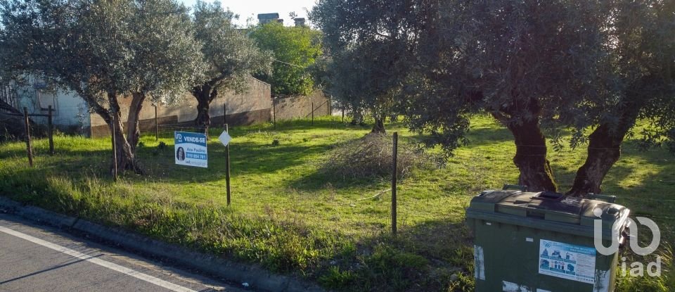 Terrain à Tomar (São João Baptista) e Santa Maria dos Olivais de 6 000 m²