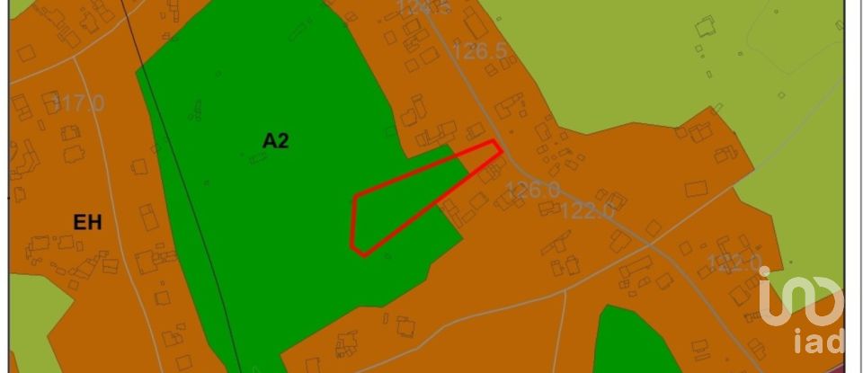 Terrain à Tomar (São João Baptista) e Santa Maria dos Olivais de 6 000 m²