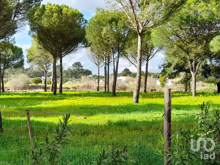 Terreno em Grândola e Santa Margarida da Serra de 41 000 m²