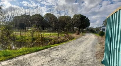 Terrain à Grândola e Santa Margarida da Serra de 41 000 m²