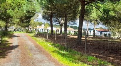 Terrain à Grândola e Santa Margarida da Serra de 41 000 m²