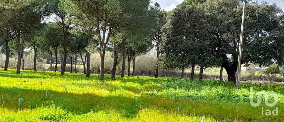 Terreno em Grândola e Santa Margarida da Serra de 41 000 m²
