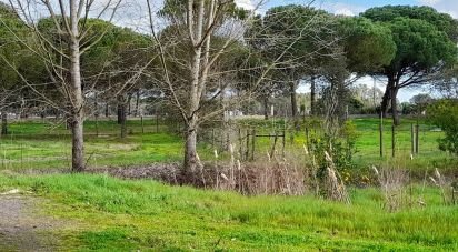 Terrain à Grândola e Santa Margarida da Serra de 41 000 m²