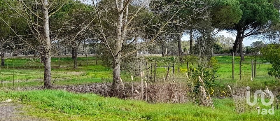 Terreno em Grândola e Santa Margarida da Serra de 41 000 m²