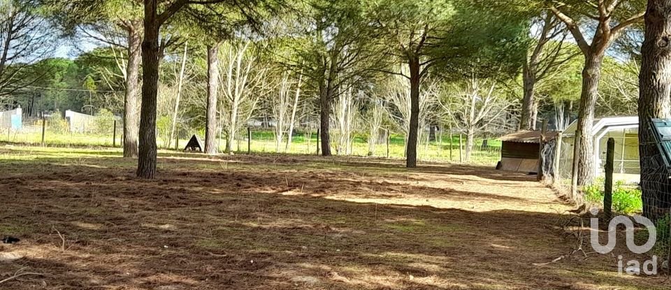 Terreno em Grândola e Santa Margarida da Serra de 41 000 m²