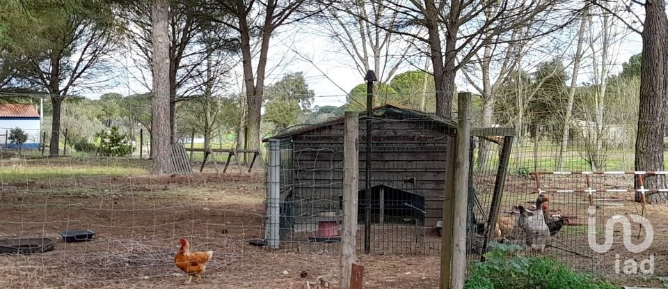 Terreno em Grândola e Santa Margarida da Serra de 41 000 m²