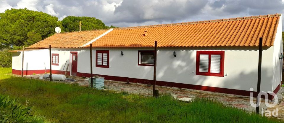 Terreno em Grândola e Santa Margarida da Serra de 41 000 m²