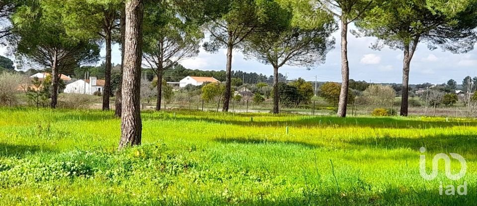 Terreno em Grândola e Santa Margarida da Serra de 41 000 m²