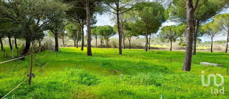 Terreno em Grândola e Santa Margarida da Serra de 41 000 m²
