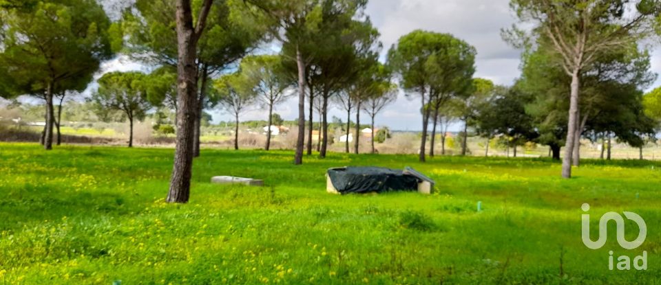Terreno em Grândola e Santa Margarida da Serra de 41 000 m²