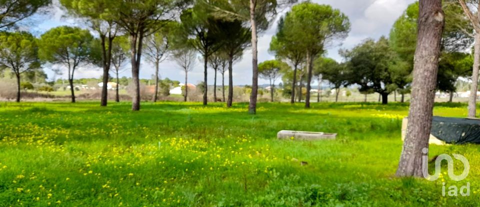 Terreno em Grândola e Santa Margarida da Serra de 41 000 m²