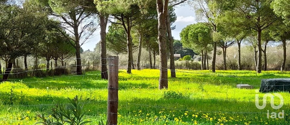 Terreno em Grândola e Santa Margarida da Serra de 41 000 m²