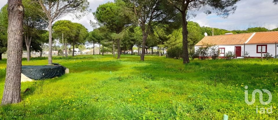 Terreno em Grândola e Santa Margarida da Serra de 41 000 m²