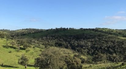 Farm land in Safara e Santo Aleixo da Restauração of 8,000,000 m²