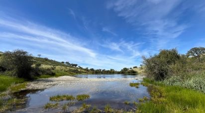 Farm land in Safara e Santo Aleixo da Restauração of 8,000,000 m²