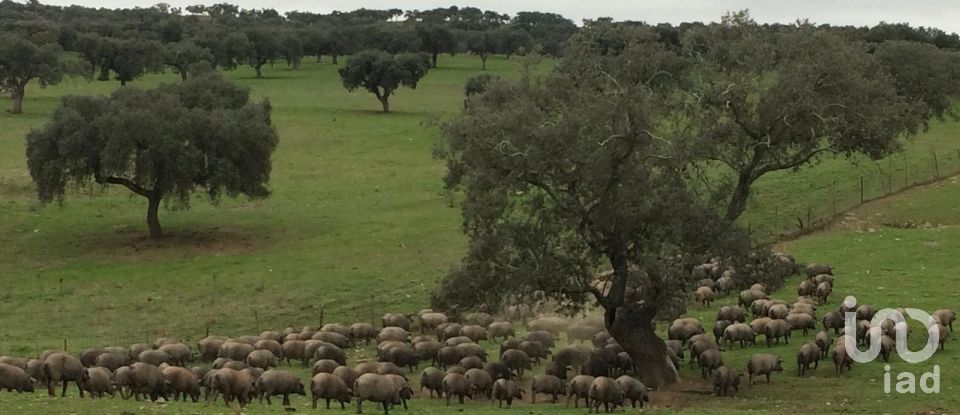 Terreno rústico em Safara e Santo Aleixo da Restauração de 8 000 000 m²