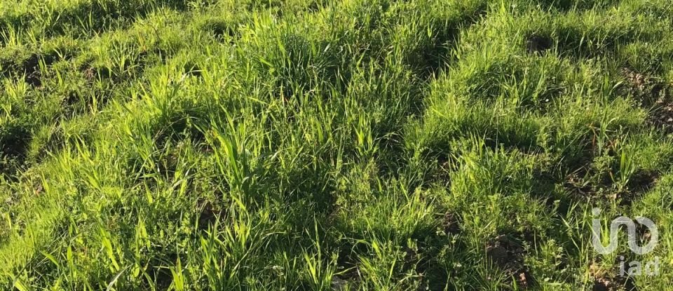 Terreno rústico em Safara e Santo Aleixo da Restauração de 8 000 000 m²