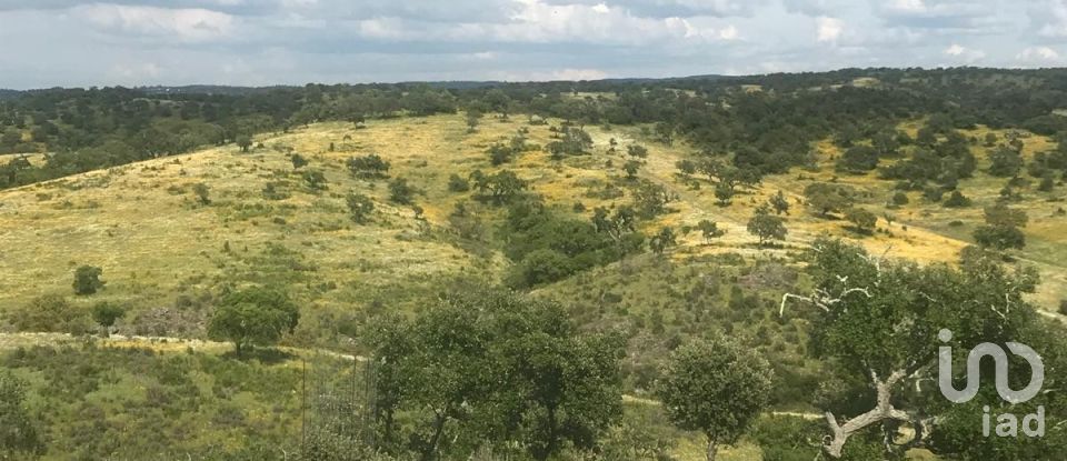 Terreno rústico em Safara e Santo Aleixo da Restauração de 8 000 000 m²