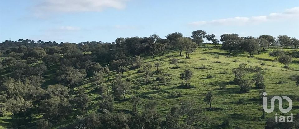 Terreno rústico em Safara e Santo Aleixo da Restauração de 8 000 000 m²