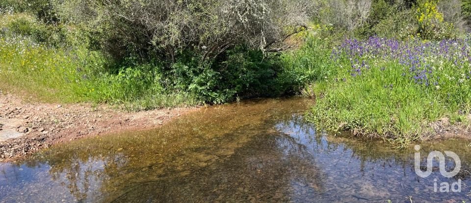 Terreno rústico em Safara e Santo Aleixo da Restauração de 8 000 000 m²